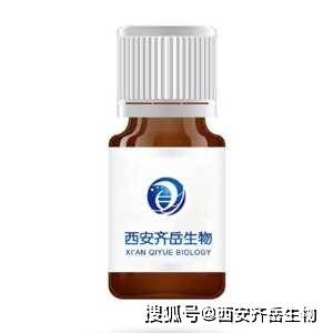 DiazoBiotin-PEG3-DBCO，二氮硝基生物素-PEG3-DBCO
