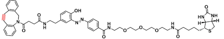 Diazo Biotin-PEG3-DBCO|DIAZO-生物素-PEG3-点击化学试剂的概述