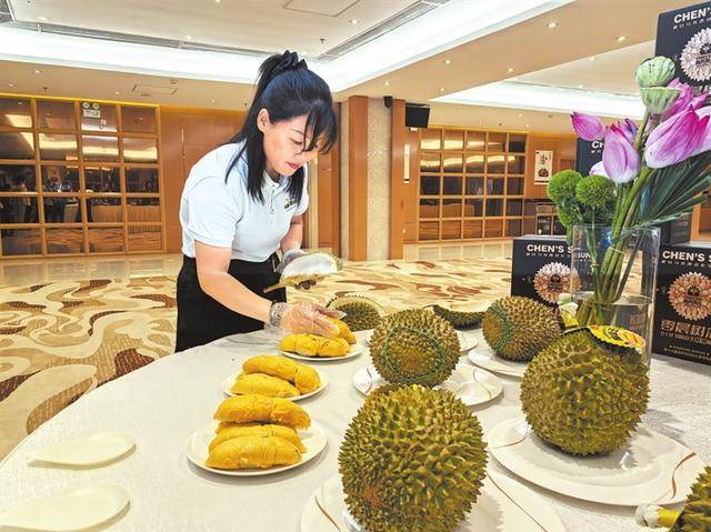“港”好精彩这一年①丨开放发展，越来越具“国际范”