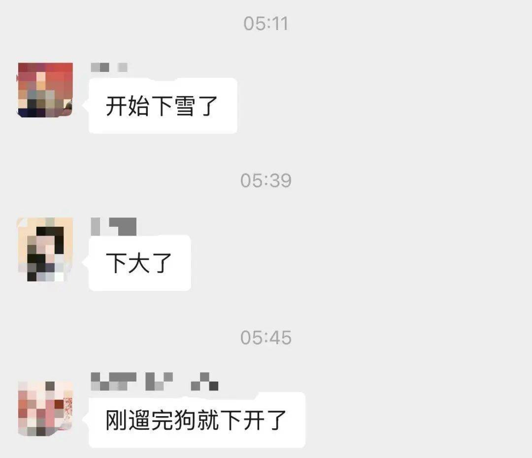 一觉醒来，济南下雪了！中雪+阵风7～8级！地铁出行有变