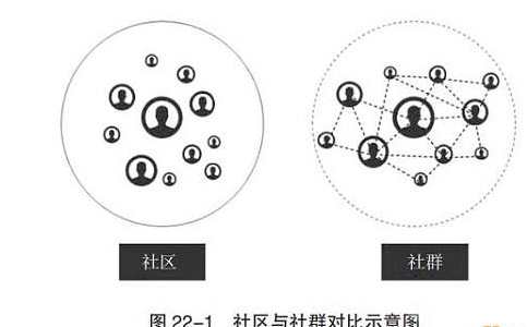 区块链社群(区块链社群运营)
