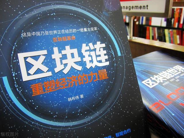 区块链龙头(区块链龙头股是谁)