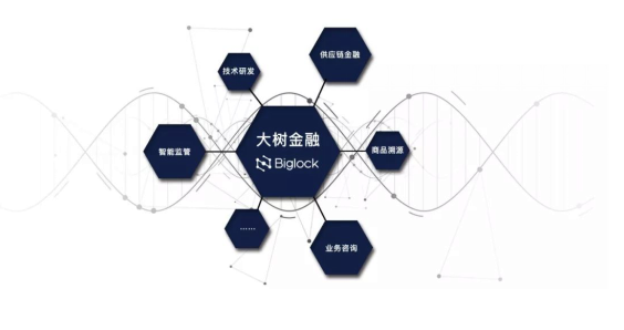 深圳区块链公司(国内最好的区块链公司)