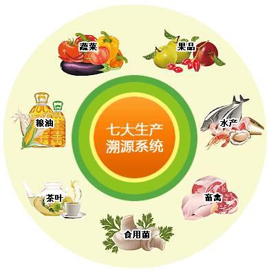 食品区块链(食品区块链溯源上市公司)